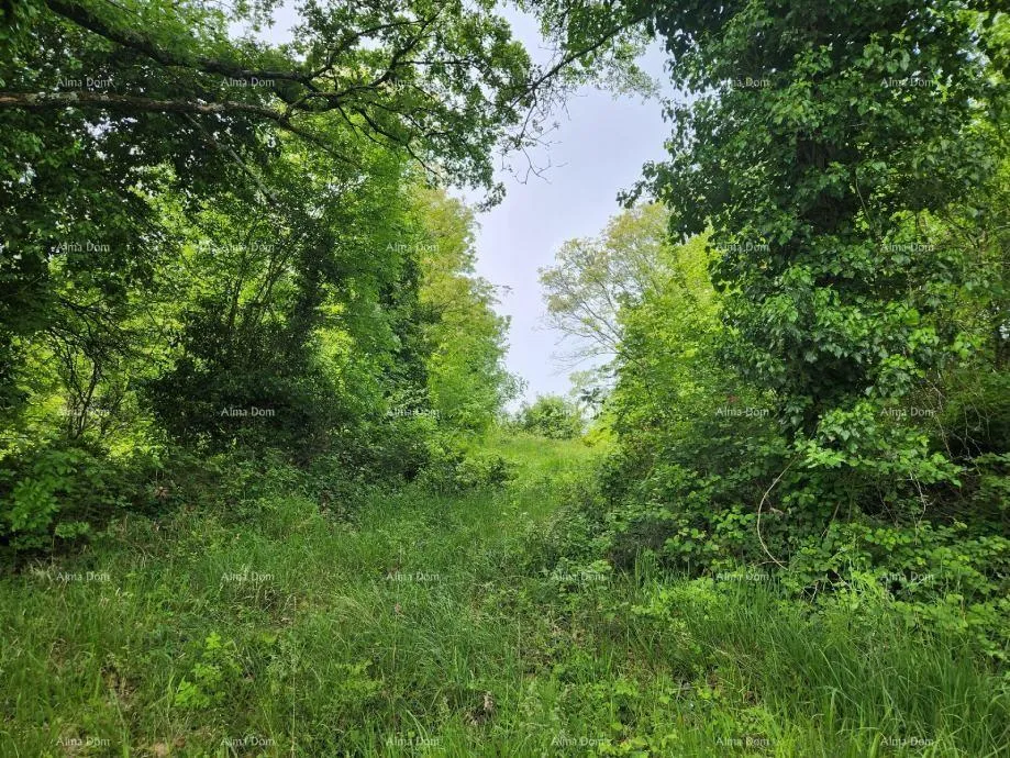 građevinsko zemljište poreč - prodaje se građevinsko zemljište, 12000m2 - slika 2