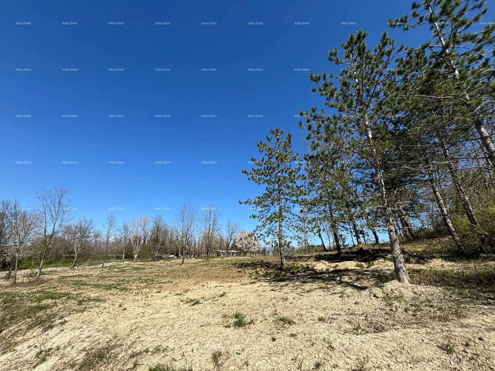 građevinsko zemljište pazin (istra) - građevinsko zemljište 1666 m2, u zelenoj zoni - slika 2