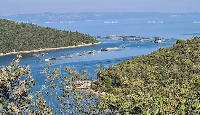 Građevinsko zemljište Zemljište – maslinik 4.609 m², Valtura - Valtura, Ližnjan
