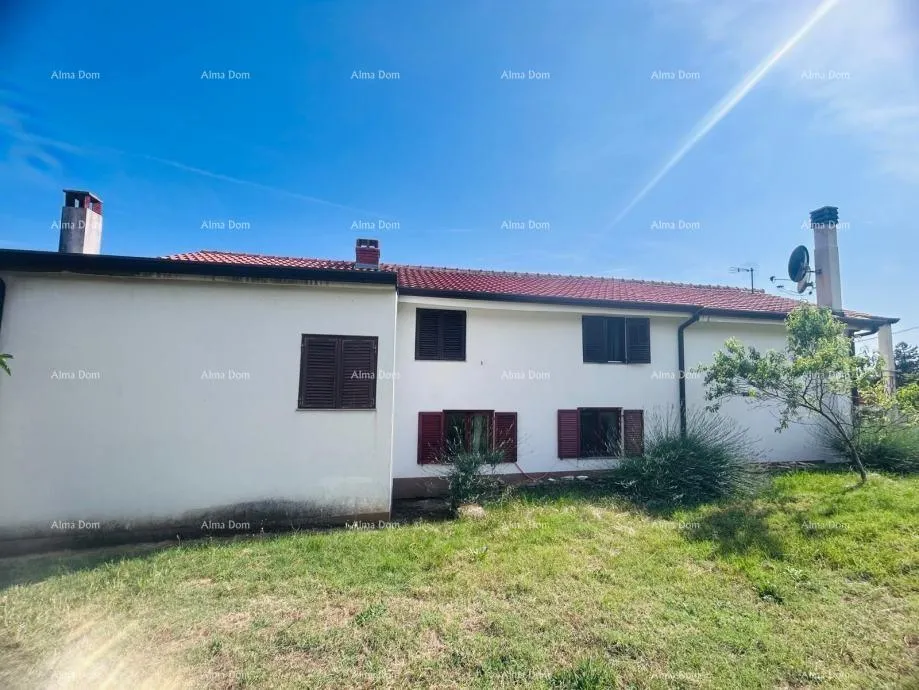 kuća buje – samostojeća kuća s maslinikom i građevinskim zemljištem - slika 2