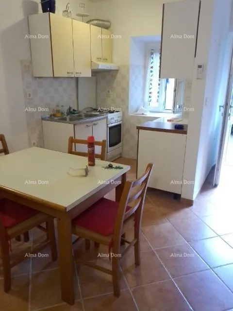 kuća prodaja kuće sa dvorištem i velikim zemljištem, barban - slika 2