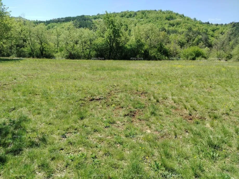 građevinsko zemljište građevinsko zemljište 3.528 m² , u blizini grožnjana - slika 2