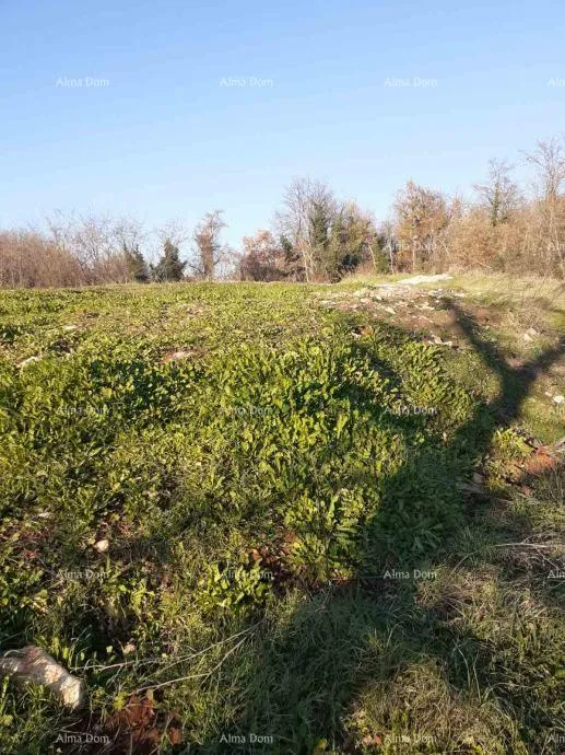 Građevinsko zemljište Prodaje se zemljište u Brtonigli (Istra) –građevinsko i poljoprivredno, ukupne površine 5.000 m² - Brtonigla