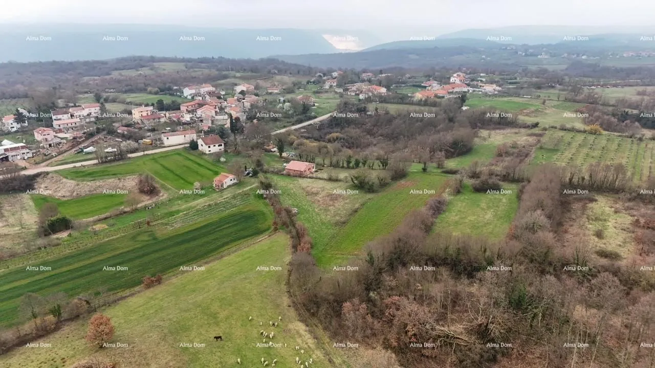 Građevinsko zemljište Građevinsko zemljište sa pravomoćnom dozvolom! - Barban