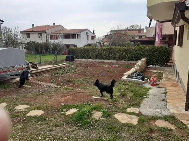 kuća novigrad - prodaja dva stana u obiteljskoj kući - slika 2