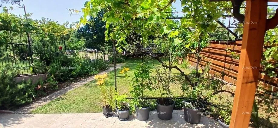 kuća kuća sa tri apartmana, medulin - slika 2