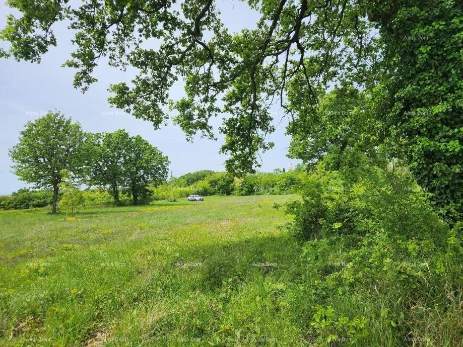 građevinsko zemljište poreč - prodaje se građevinsko zemljište, 12000m2 - slika 13