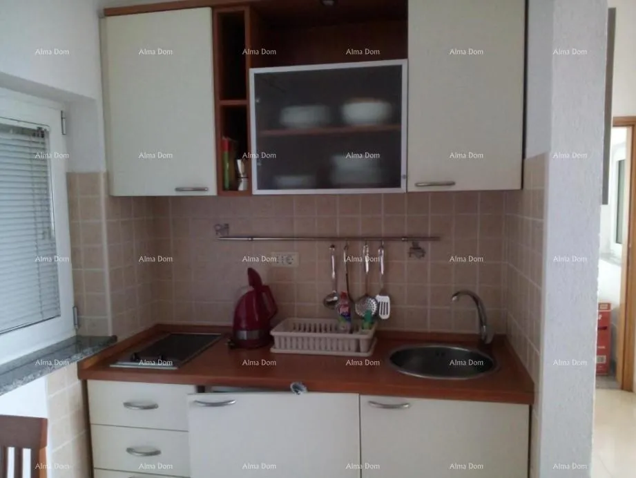 kuća prodaje se kuća sa 5 apartmana i pogledom na more, premantura - slika 5