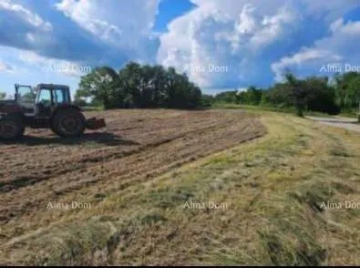 Građevinsko zemljište Prodaju se tri građevinske parcele i jedna poljoprivredna parcela. - Žminj