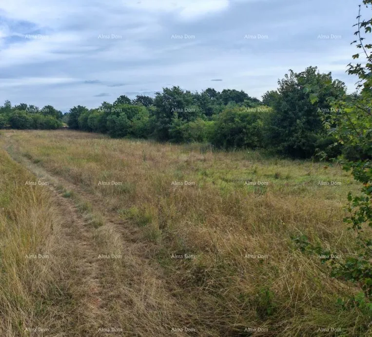Građevinsko zemljište Građevinsko zemljište površine 1.600 m² u blizini Svetvinčenata