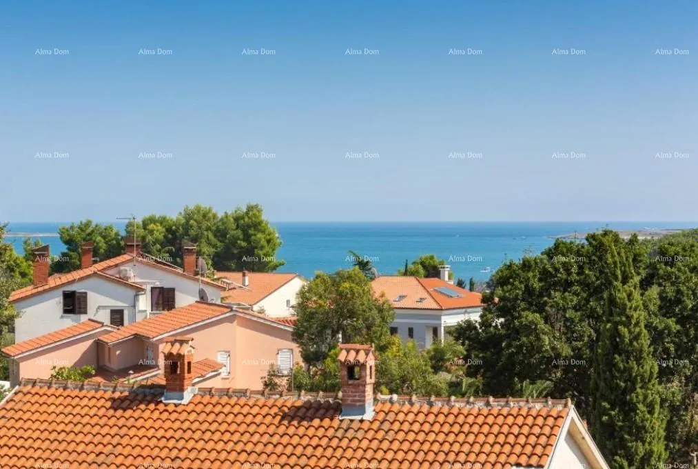 kuća kuća s apartmanima i bazenom u premanturi – pogled na more! - slika 12