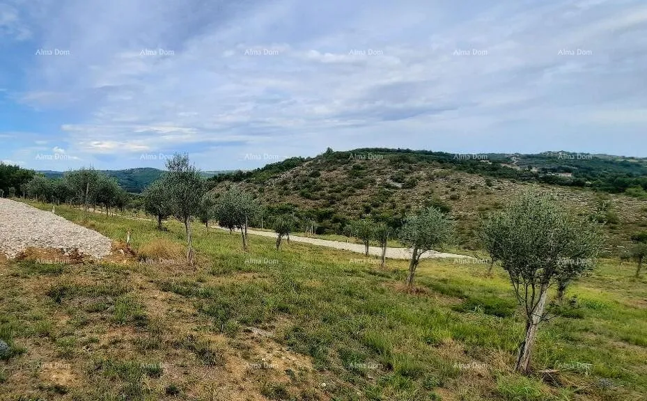 Građevinsko zemljište Momjan – prodaja građevinskog zemljišta na odličnoj lokaciji. - Buje