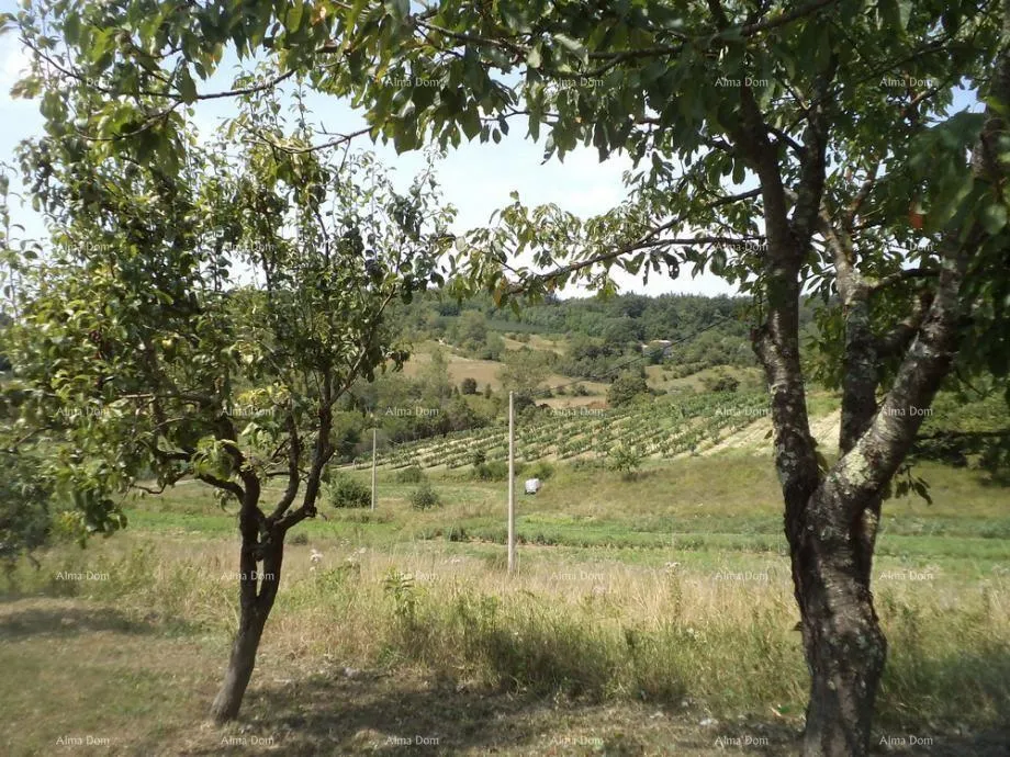 Građevinsko zemljište Prodaje se građevinsko veliko zemljište blizina grada Poreča.