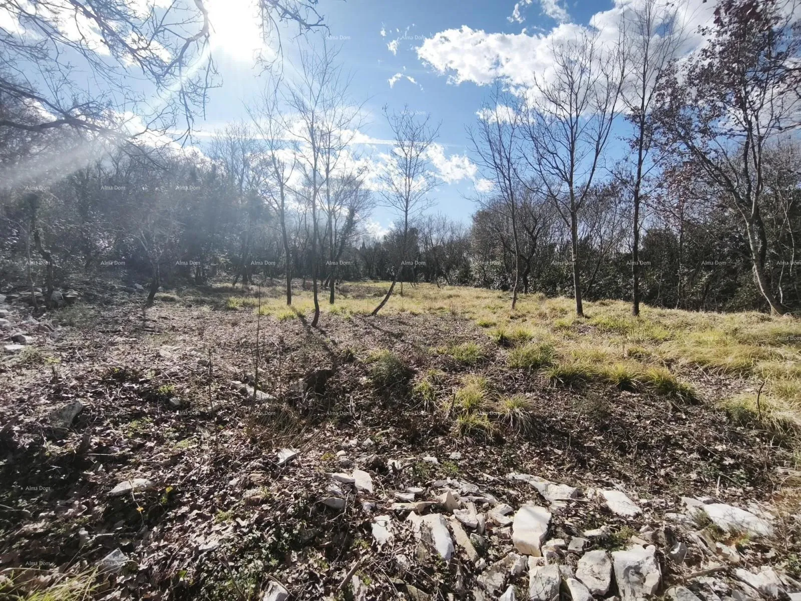 građevinsko zemljište buje – građevinsko zemljište 1.086 m² s pogledom na more - slika 2