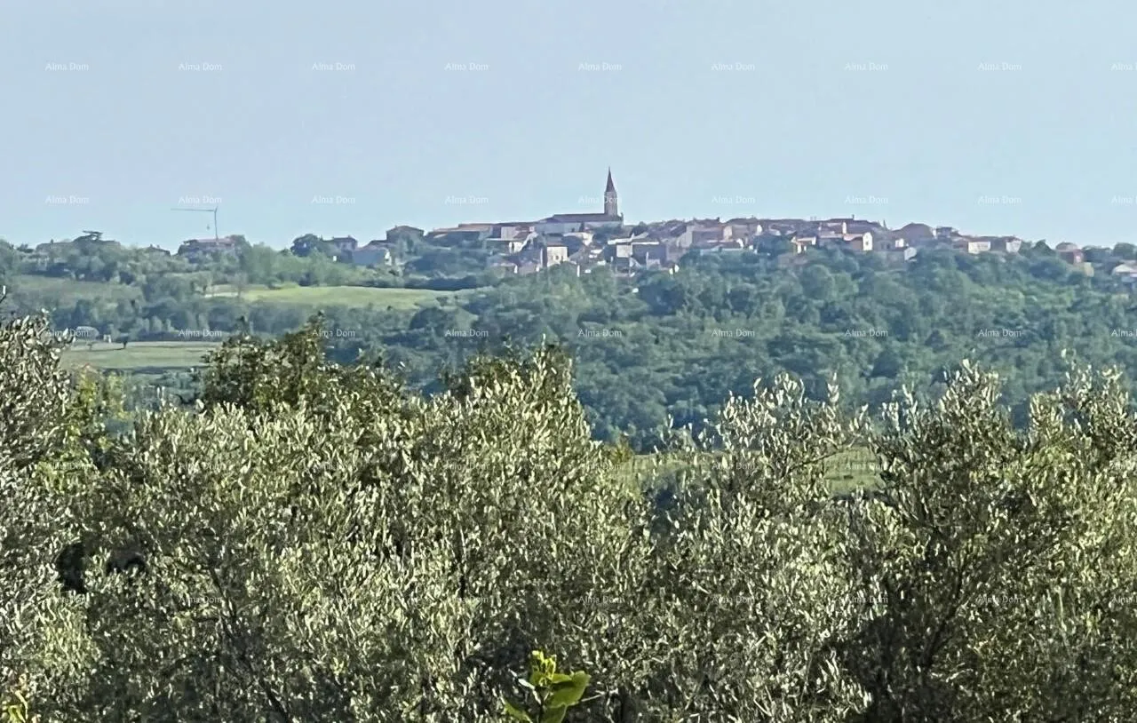 Građevinsko zemljište Građevinsko zemljište s pogledom na more, vinograde i Alpe (551 m²), Buje