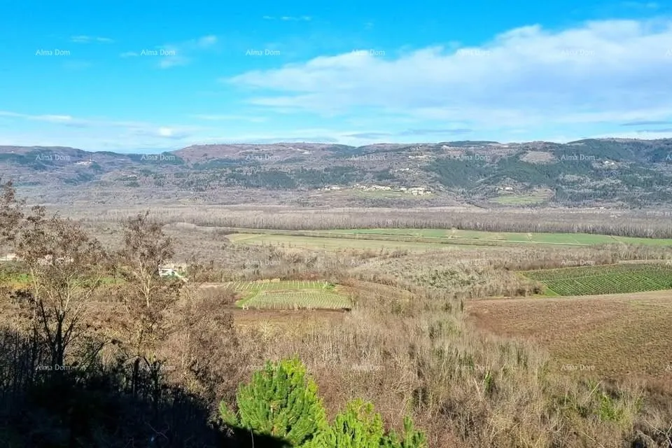 kuća kuća s predivnim pogledom na motovun - slika 4