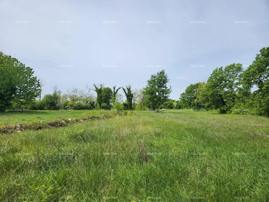 građevinsko zemljište poreč - prodaje se građevinsko zemljište, 12000m2 - slika 16