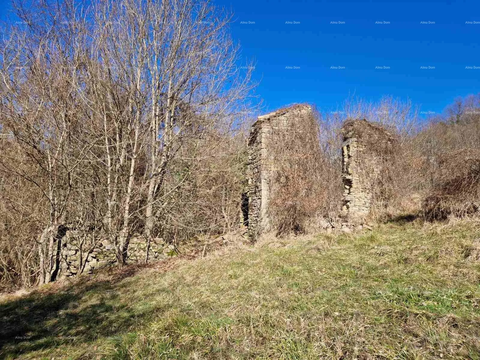 kuća prodaja- veliko imanje/stancija u središnjoj istri, pazin! investicijska prilika! - slika 6
