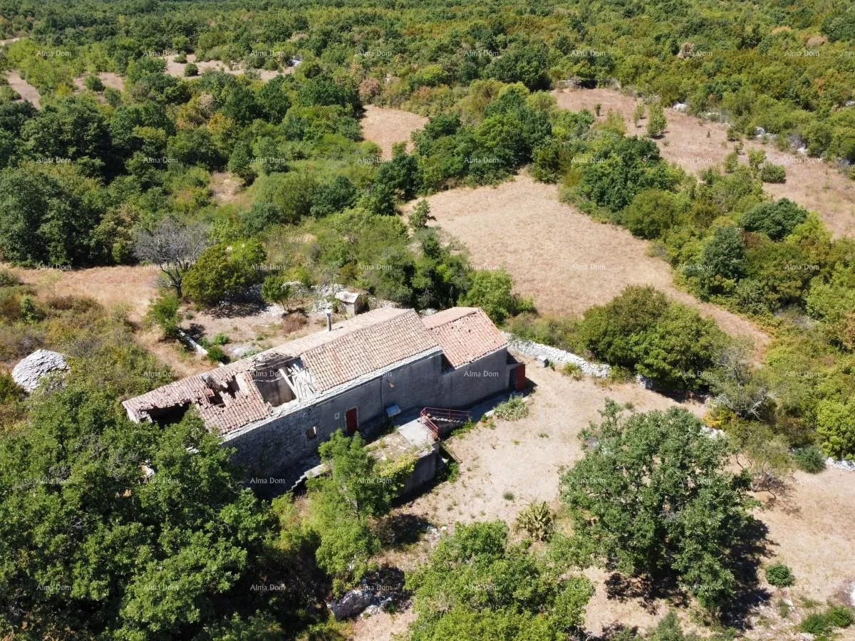 kuća stancija kod vodnjana! veliki teren 6390 m2!! - slika 16