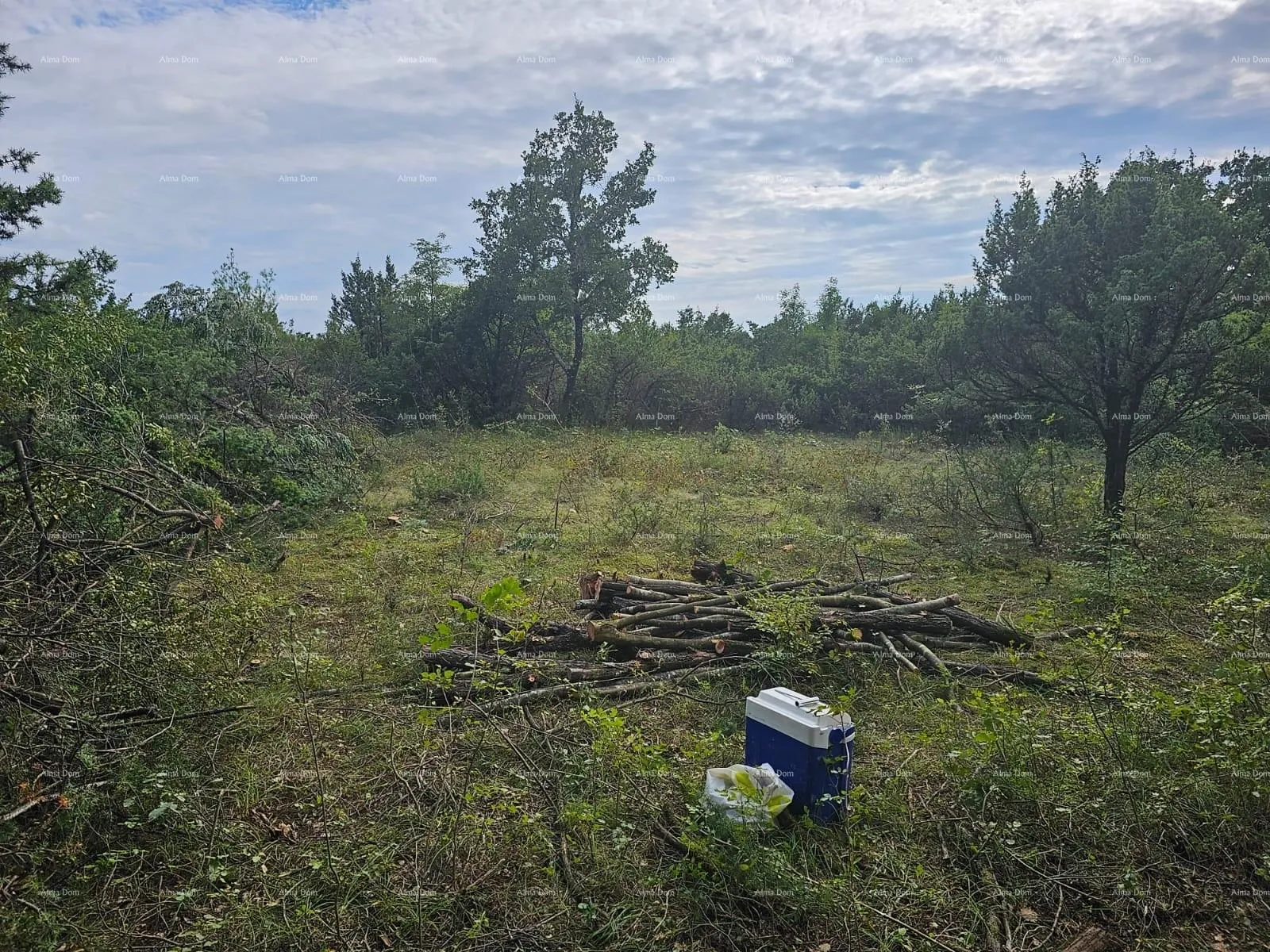 građevinsko zemljište građevinsko i poljoprivredno zemljište u blizini svetvinčenata: 11100 m² za vašu investiciju - slika 2