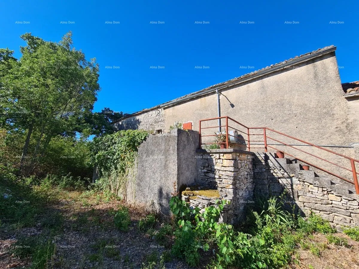 kuća stancija kod vodnjana! veliki teren 6390 m2!! - slika 4