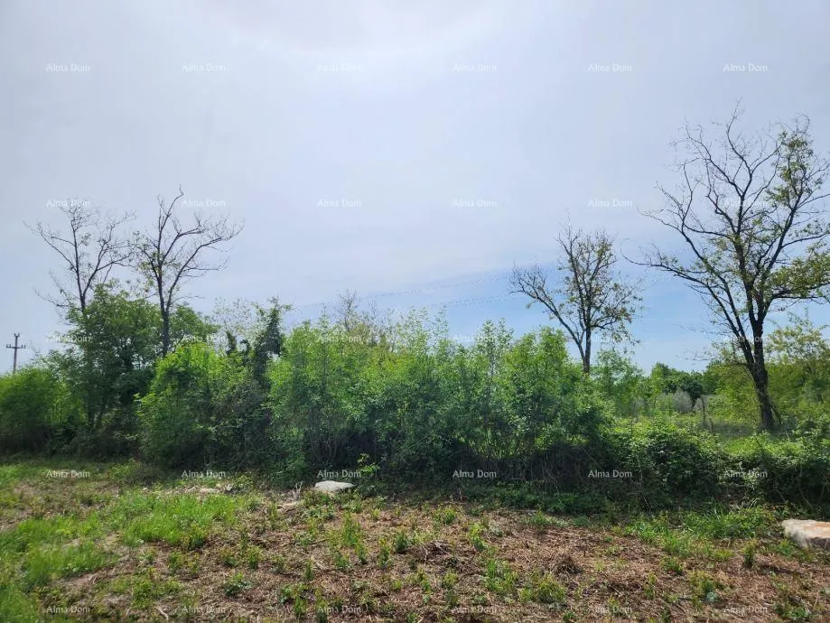 građevinsko zemljište poreč - prodaje se građevinsko zemljište, 12000m2 - slika 10