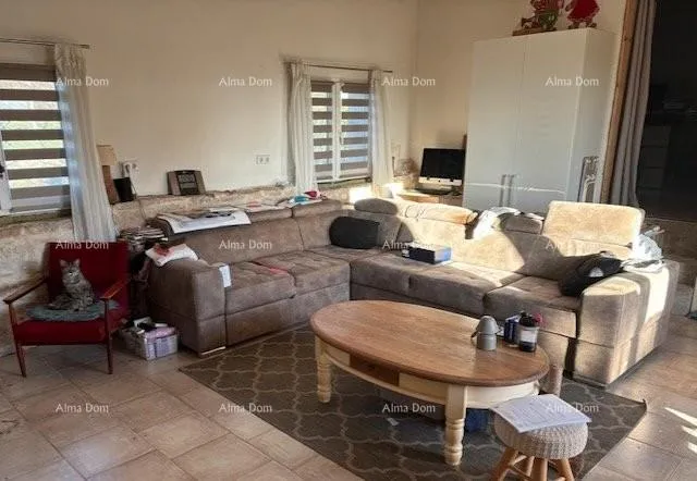 kuća kamena vila s dodatnim apartmanom i konobom , sveti lovreč - slika 3