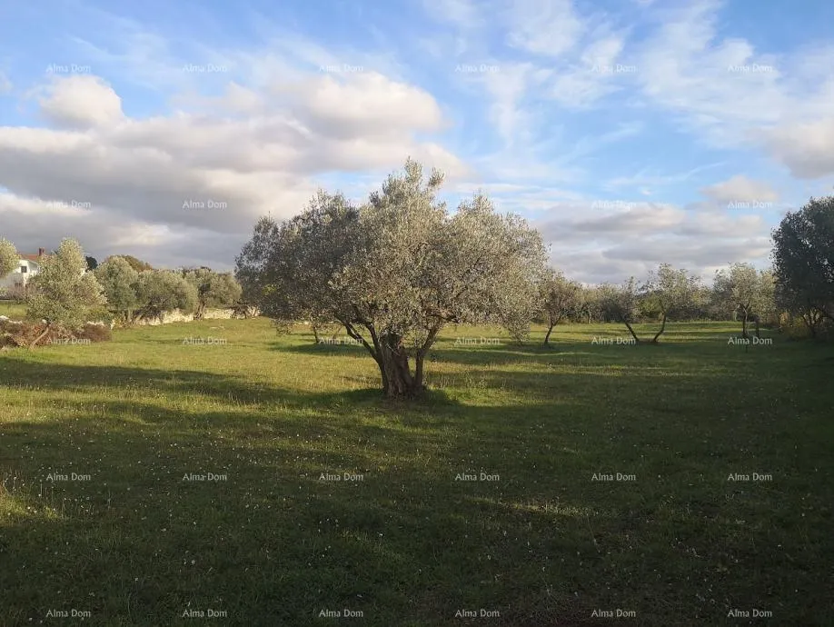 građevinsko zemljište prodaja građevinskog zemljišta sa pogledom na more, fažana! - slika 3