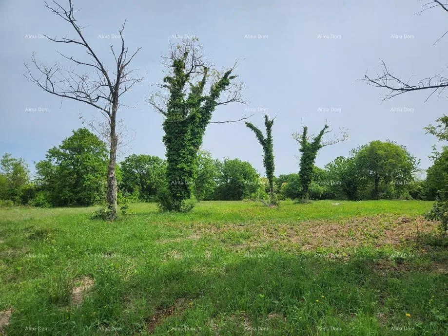 građevinsko zemljište poreč - prodaje se građevinsko zemljište, 12000m2 - slika 6