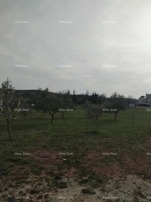građevinsko zemljište atraktivno zemljište, 5.716 m²,okolica poreča - slika 2
