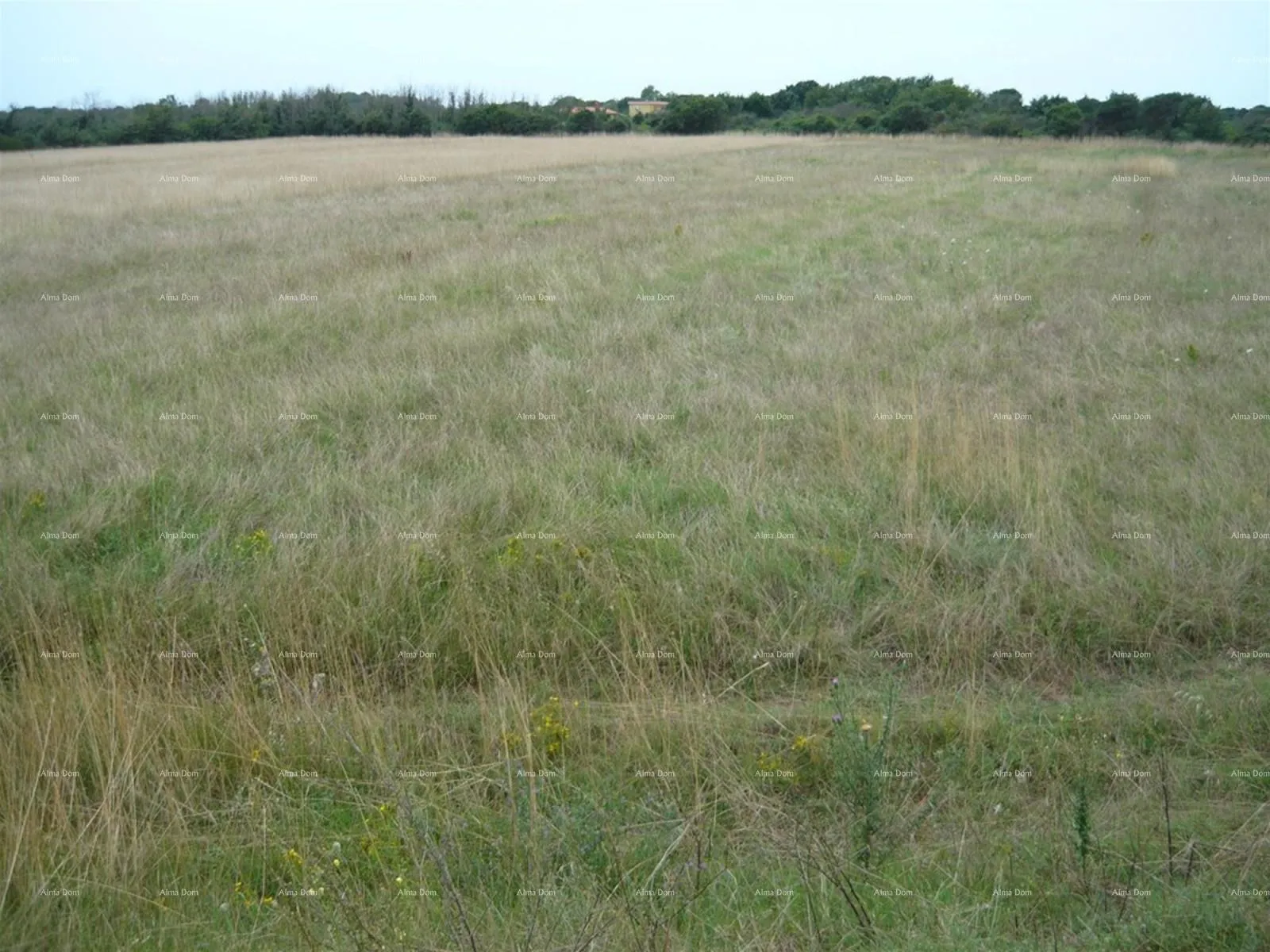 poljoprivredno zemljište jadreški, prodaje se poljoprivredno zemljište, površine 21.870 m² - slika 2