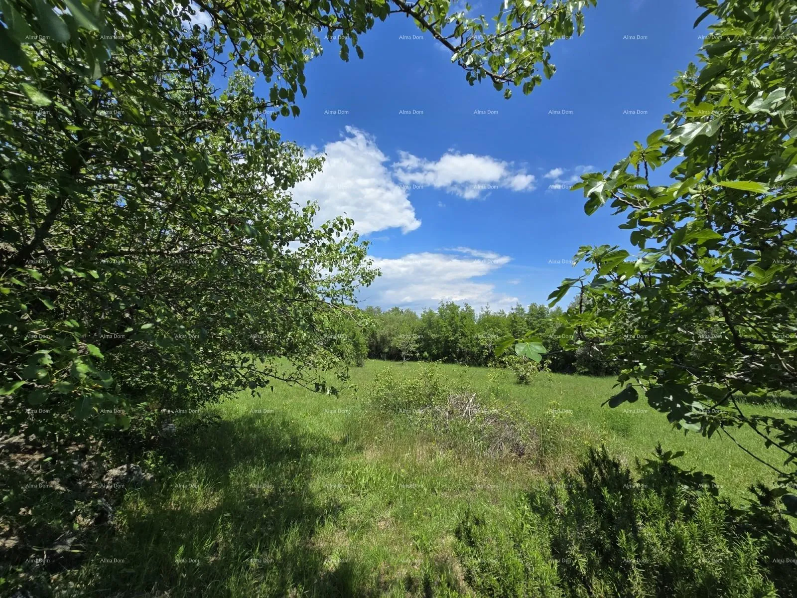 kuća rakalj, kamena kuća s 1.920 m² građevinskog zemljišta - slika 15