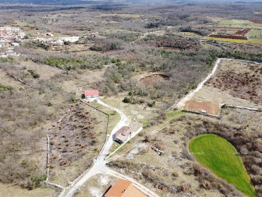 kuća blizina marčane, kuća na velikom terenu od 26.000 m2. - slika 7