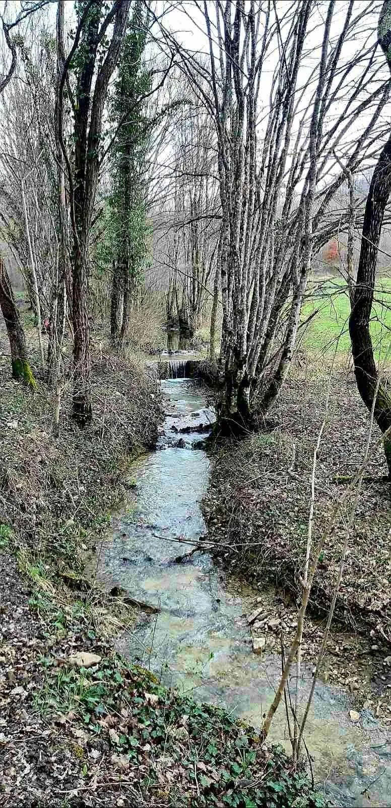Kuća Prodaja- veliko imanje/stancija u središnjoj Istri, Pazin! Investicijska prilika!