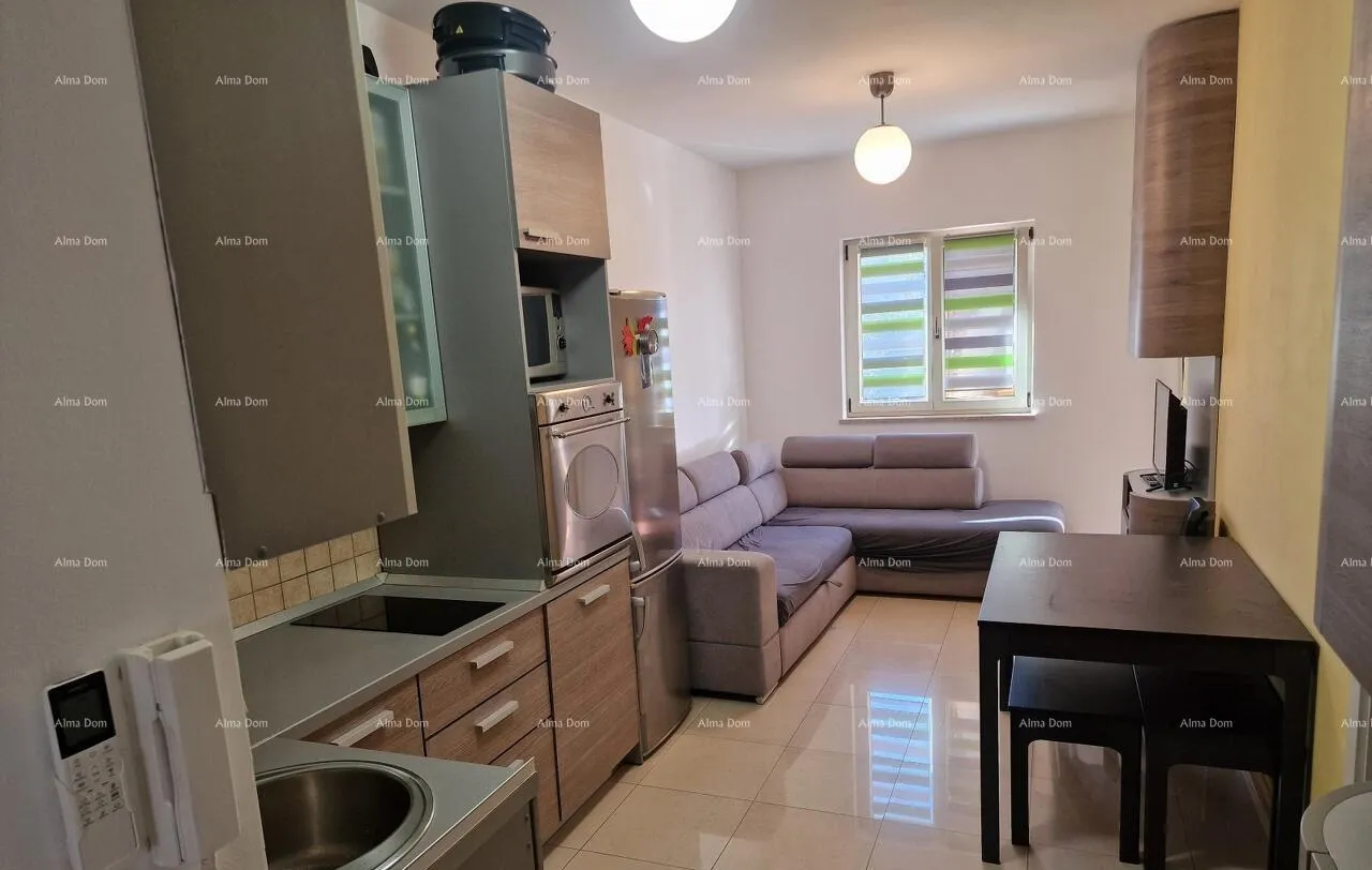 stan prodaje se lijepo renoviran stan, novigrad - slika 14