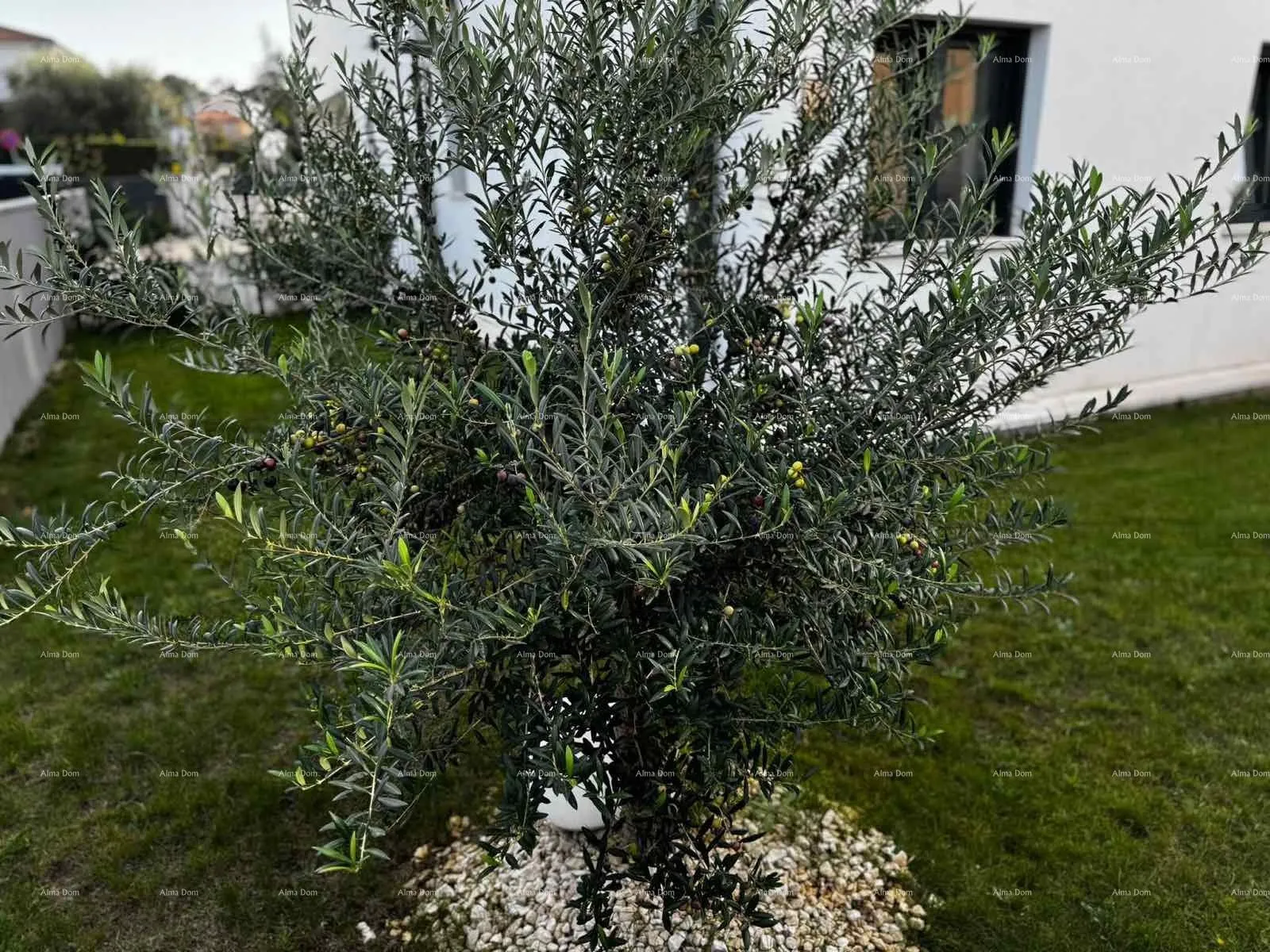 stan moderno opremljen stan s vlastitim bazenom, vrtom i parkirnim mjestom, pula! - slika 14