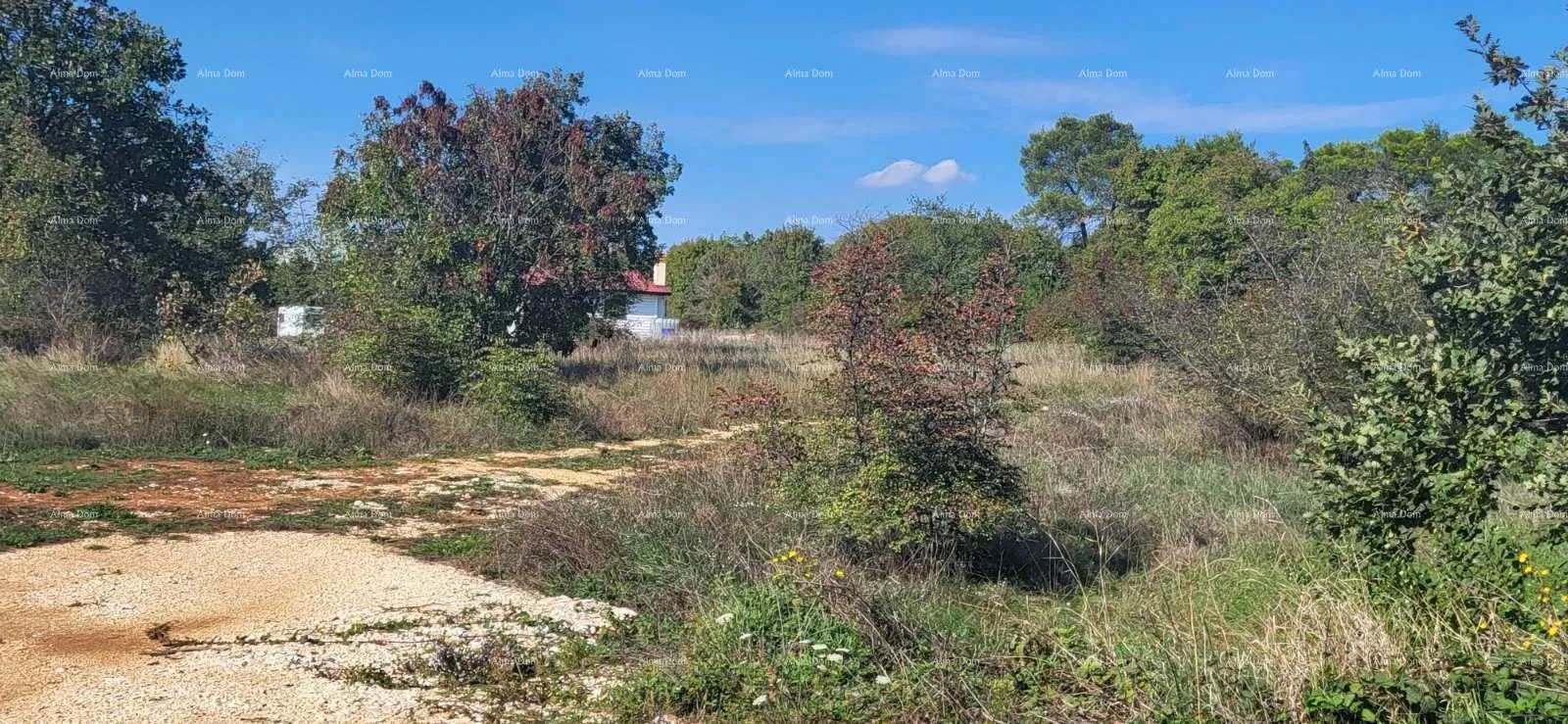 Građevinsko zemljište - Barban