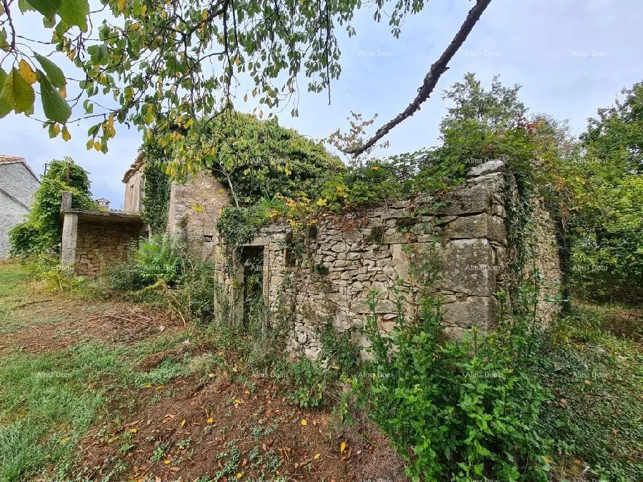 kuća stare ruševne kuće na velikom terenu od 6880 m2. - slika 13