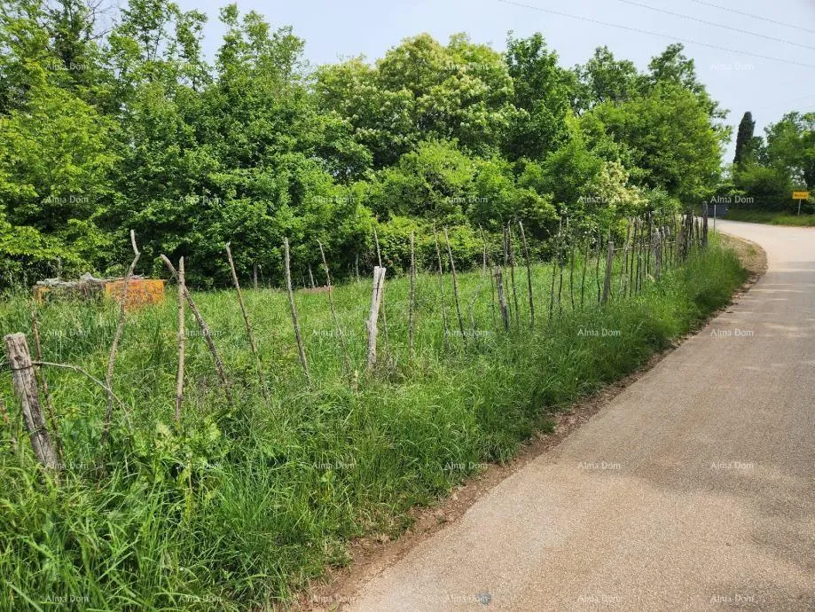 građevinsko zemljište poreč - prodaje se građevinsko zemljište, 12000m2 - slika 12