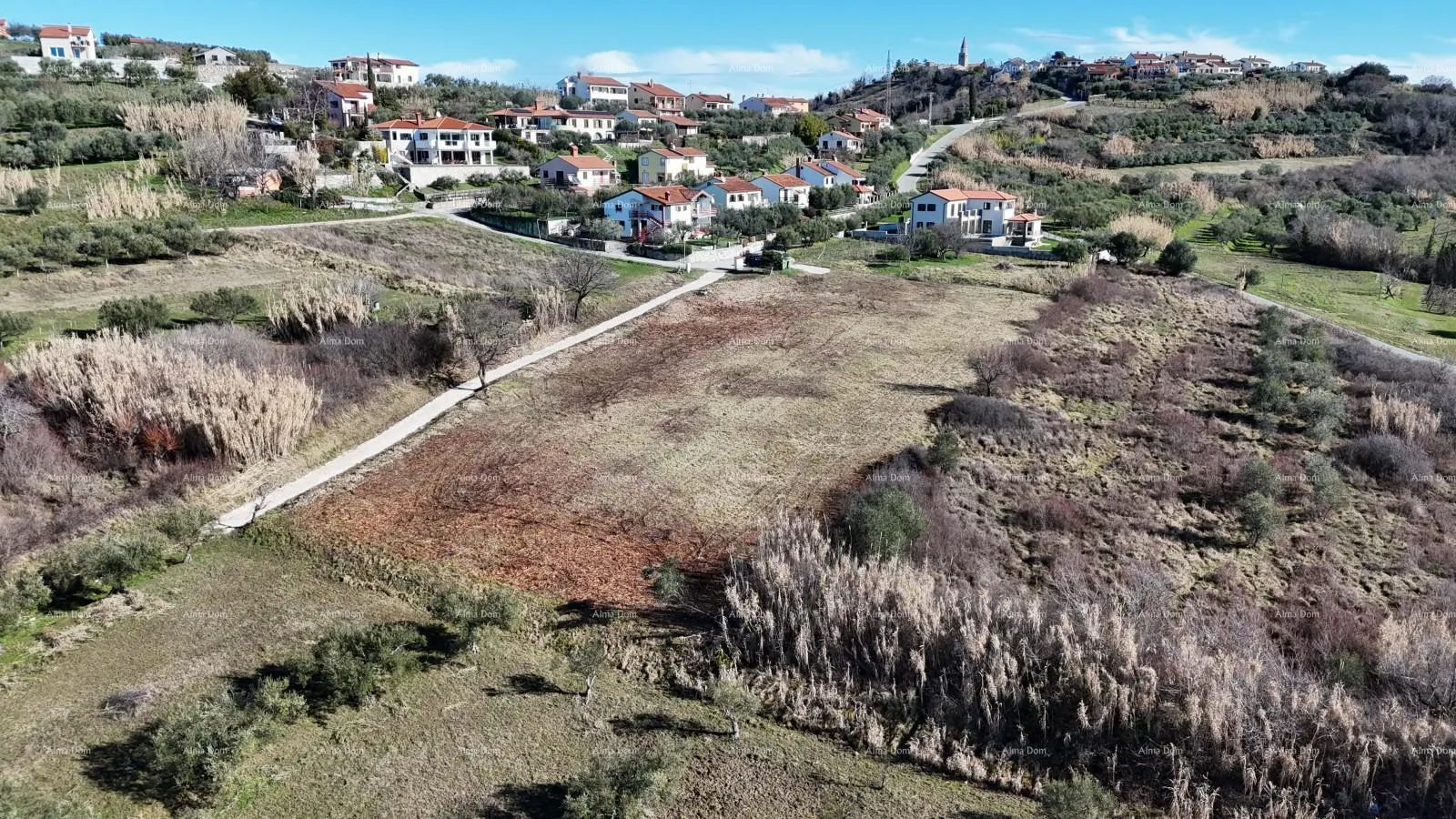 građevinsko zemljište prodaja građevinskih parcela sa pogledom na more, za izgradnju stambenih objekata, buje! - slika 5