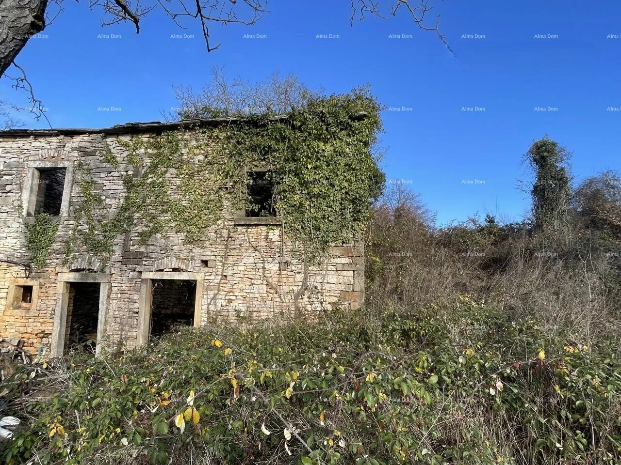kamena kuća prodaja - kamena istraska kuća za renovaciju s velikim zemljištem, oprtalj! - slika 2
