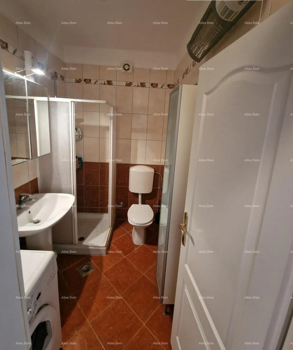 stan prodaje se lijepo renoviran stan, novigrad - slika 9