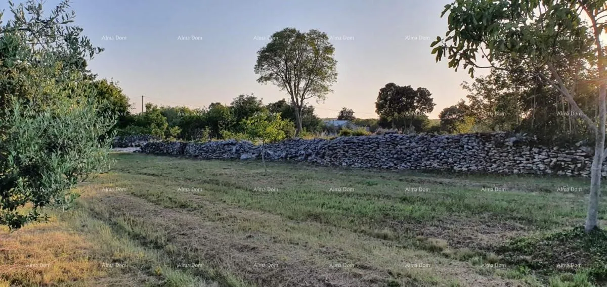 građevinsko zemljište građevinsko zemljište u filipani! - slika 6