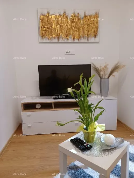 stan pula, 2-sobni stan u centru, 31 m² + terasa i vrt - slika 4