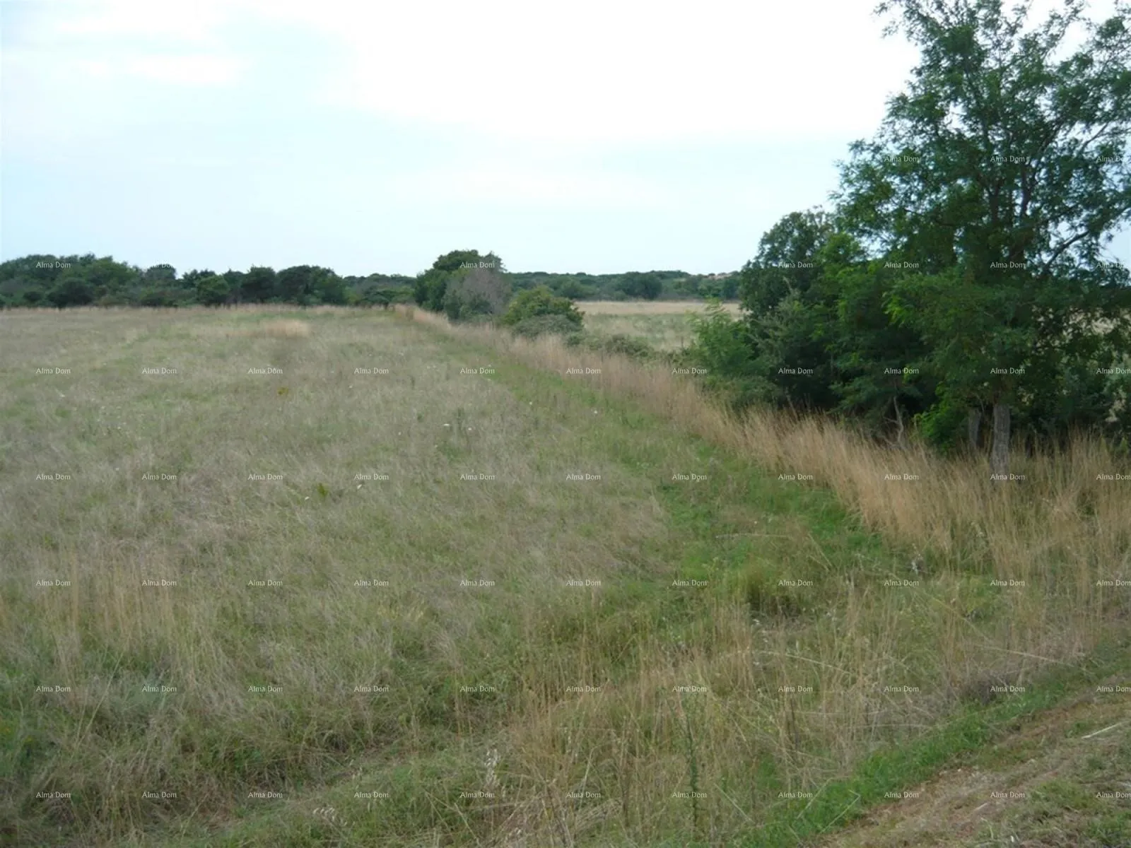 Poljoprivredno zemljište Jadreški, Prodaje se poljoprivredno zemljište, površine 21.870 m² - Ližnjan