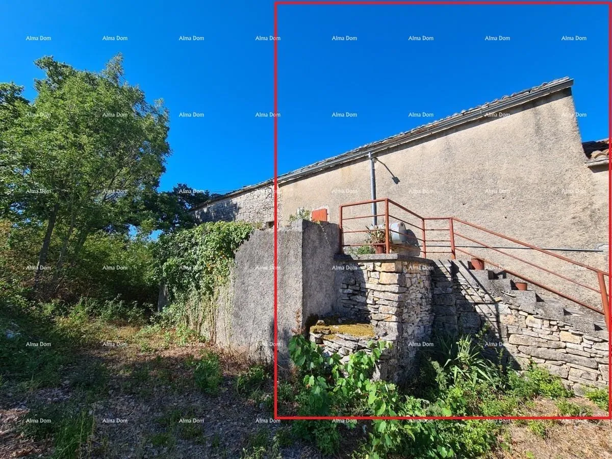 kuća stancija kod vodnjana! veliki teren 6390 m2!! - slika 21
