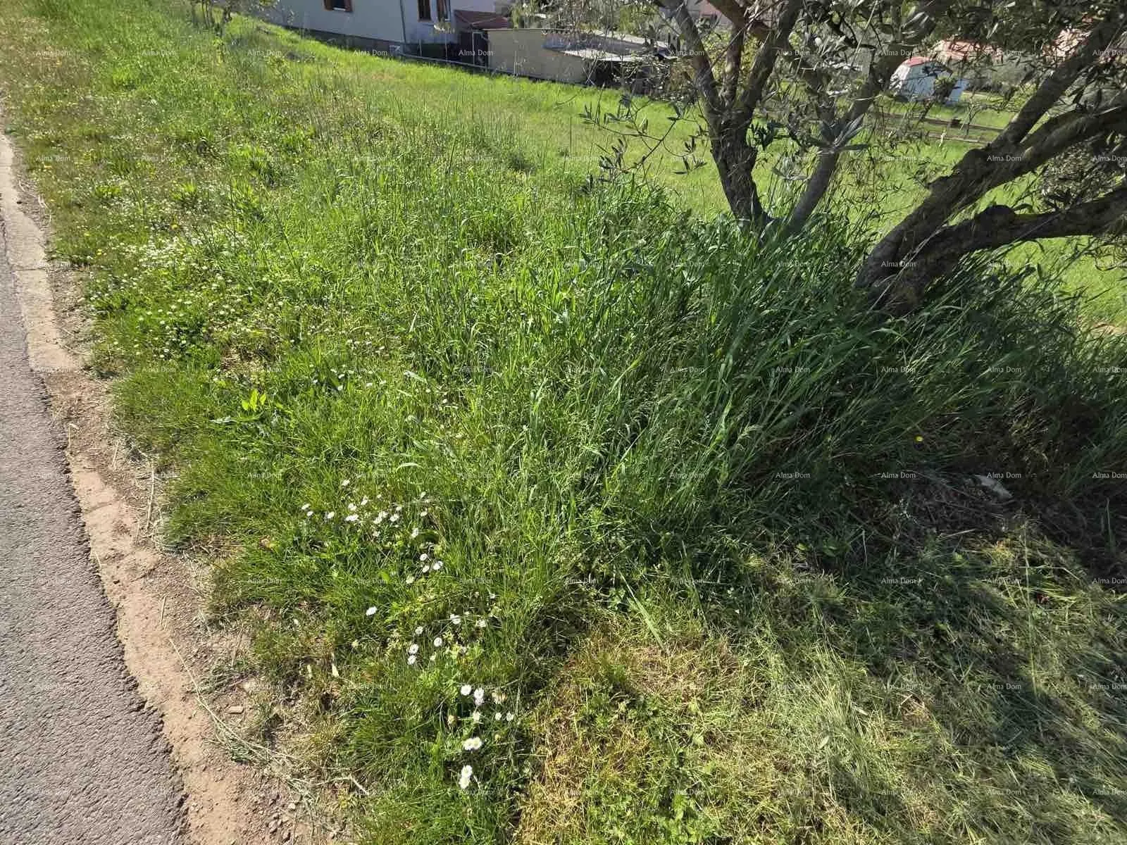 građevinsko zemljište građevinsko zemljište 1.412 m², šegotići - slika 2