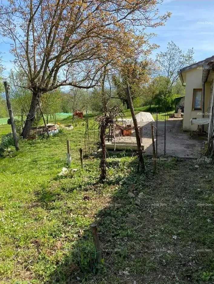 kuća prodajemo kuću i konobu, , pazin! - slika 6