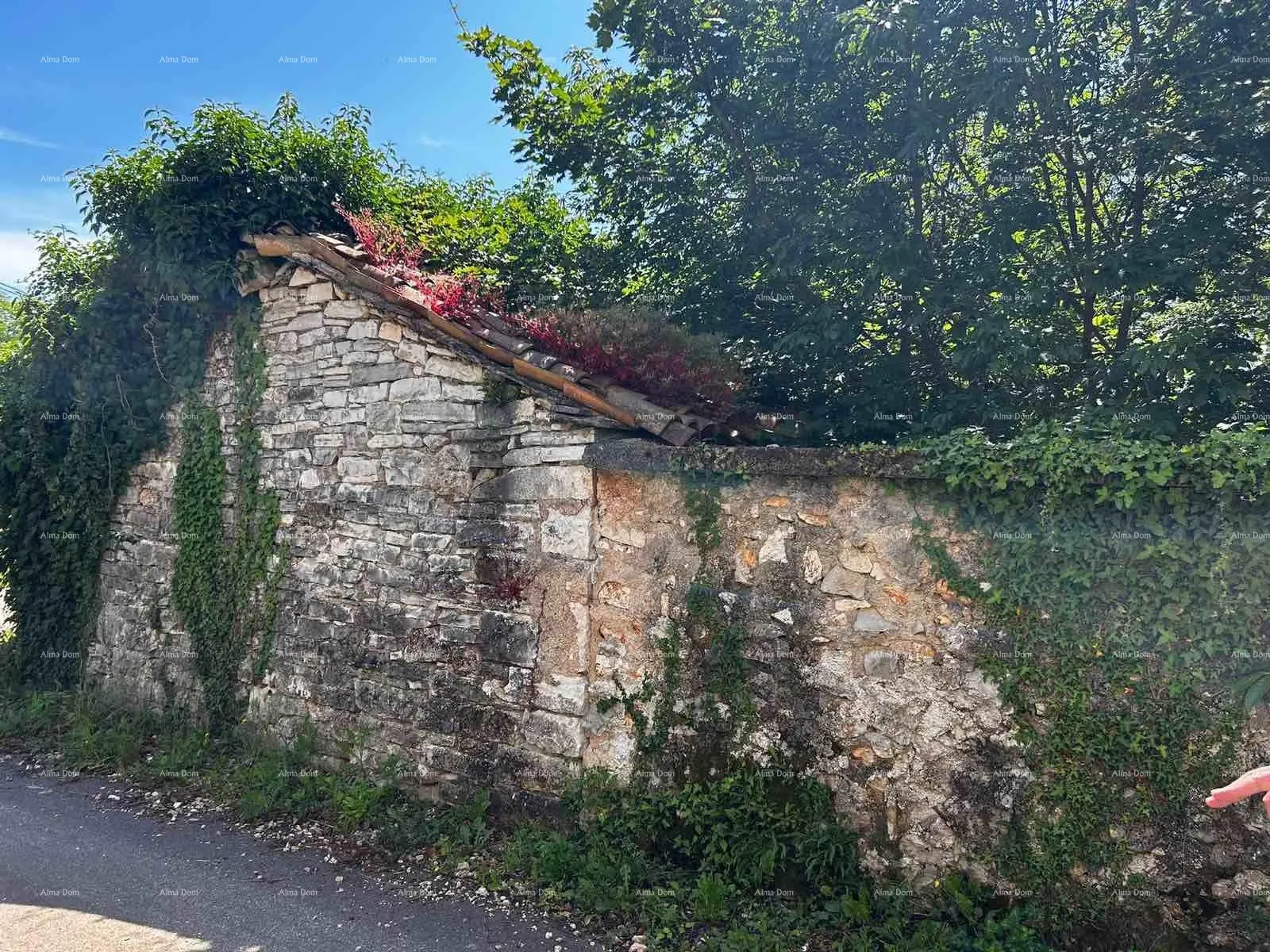 kuća prodaja kuće sa stajom i zemljištem u blizini barbana! - slika 6