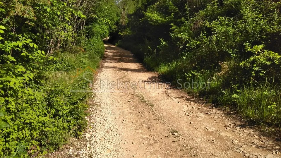 višnjan, zoričići - zemljište, 62710 m2 prodaja - slika 12